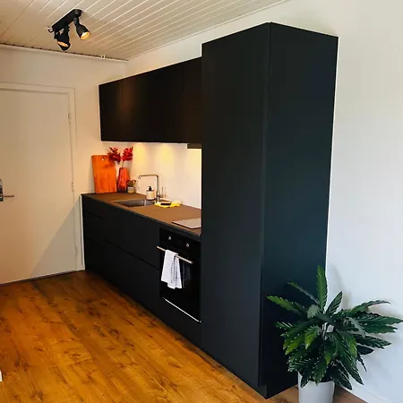 Cozy Flats - 1th Lägenhet Silkeborg