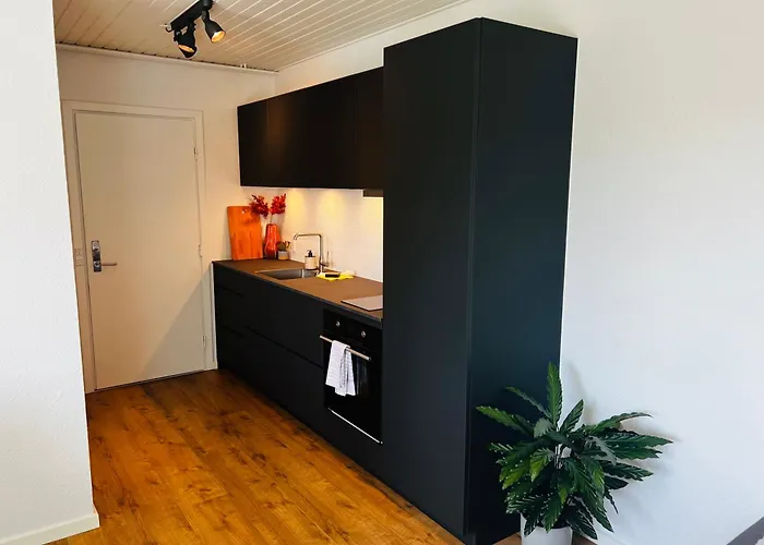 Cozy Flats - 1th Lejlighed Silkeborg